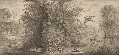 Rusticula minor, Beccasine The Snipe: Livre d