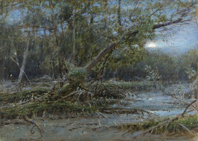 ホタル、デメレラ、1902年頃（紙にcとボディカラー付き） 作： Albert Goodwin