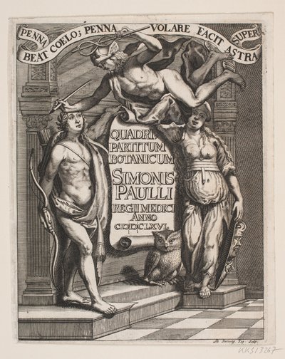 ティテルブラッド ティル シモン パウリ、「Quadripartitum Botanicum」、1667 年 作： Albert Haelwegh