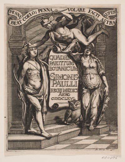 ティテルブラッド ティル シモン パウリ、「Quadripartitum Botanicum」、1667 年 作： Albert Haelwegh