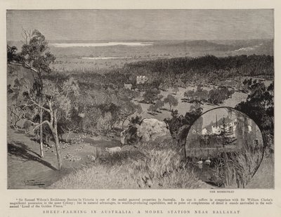 オーストラリアの羊飼育、バララット近くのモデルステーション 作： Albert Henry Fullwood