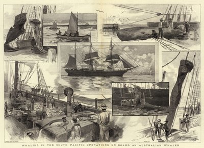 南太平洋の捕鯨、オーストラリアの捕鯨船での作戦 作： Albert Henry Fullwood