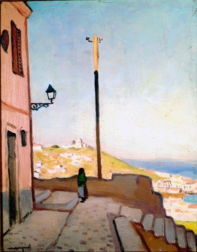 カシュバからの眺め 作： Albert Marquet