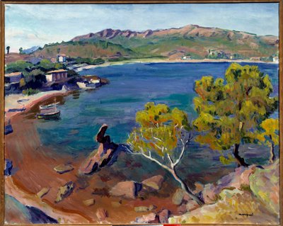 風景デュミディ、20世紀（キャンバスに油彩） 作： Albert Marquet