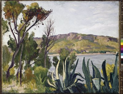 アガベのある風景。 (キャンバスに油彩 作： Albert Marquet