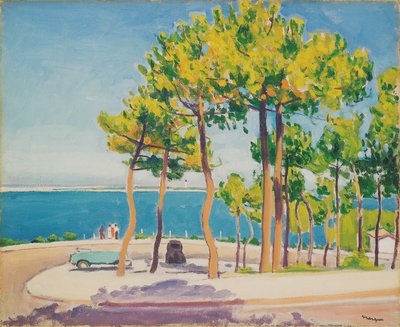 Le Pyla, rond-point   1451792   ja       japanese Successfully Translated  Original: Cassia Fistula (Purging cassia): finished drawing of leafy shoot with flowers Translat: Cassia Fistula (Purging cassia): finished drawing of leafy shoot with flowers 14443 作： Albert Marquet
