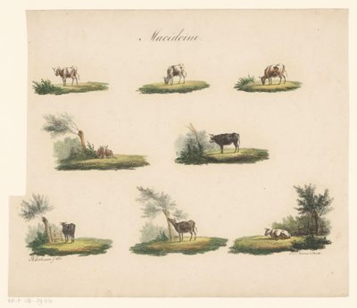 Koeien in landschap Macédoine (title on object)   1344377   ja       japanese Successfully Translated  Original: Volwassen man The Compleat Work of Etchings by John Chalon / Oeuvre Complette des Eaux Fortes par Jean Chalon (series title) Translat: Volwasse 作： Albertus Verhoesen