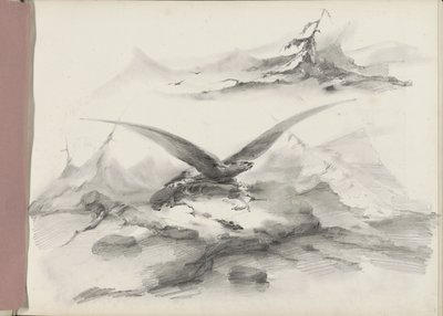 山と海岸の上を飛んでいるワシ 作： Albertus van Beest