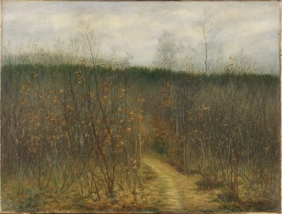 Coppice em Sint-Martens-Latem 作： Albijn Van den Abeele