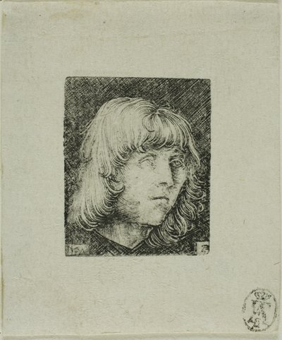 若い男の頭 作： Albrecht Altdorfer
