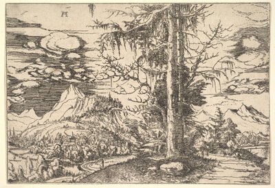 ダブルスプルースのある風景1521-22。 作： Albrecht Altdorfer