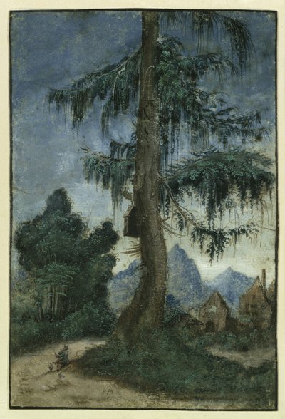 トウヒのある風景（1522年頃 作： Albrecht Altdorfer