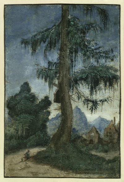  作： Albrecht Altdorfer