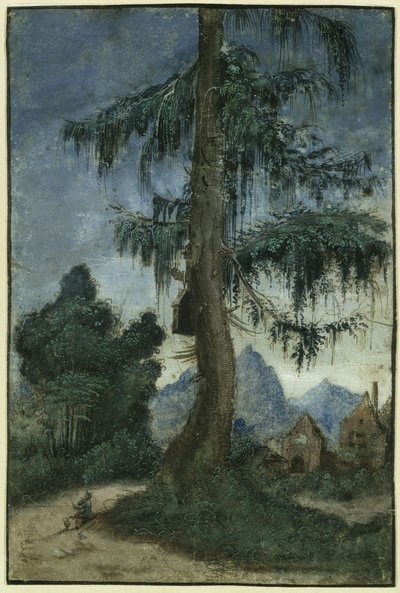  作： Albrecht Altdorfer