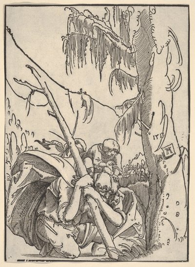  作： Albrecht Altdorfer