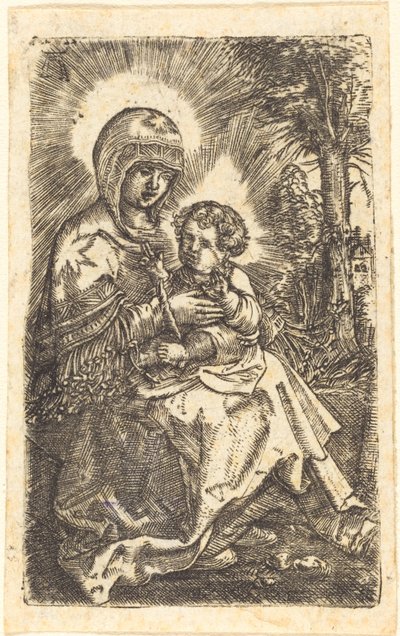 風景の中のラティスボンの「美しい聖母」 作： Albrecht Altdorfer