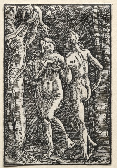 人間の堕落と贖罪：禁じられた果実を食べるアダムとイブ 作： Albrecht Altdorfer