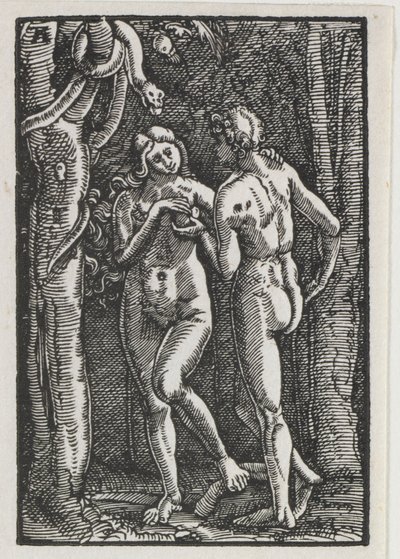 人間の堕落と贖罪：禁じられた果実を食べるアダムとイブ 作： Albrecht Altdorfer
