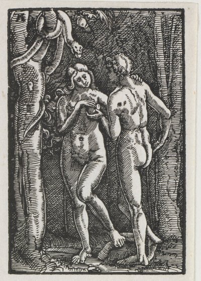 人間の堕落と贖い：禁断の果実を食べるアダムとイブc。 1513。 作： Albrecht Altdorfer