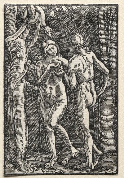 人間の堕落と贖い：禁断の果実を食べるアダムとイブc。 1515。 作： Albrecht Altdorfer