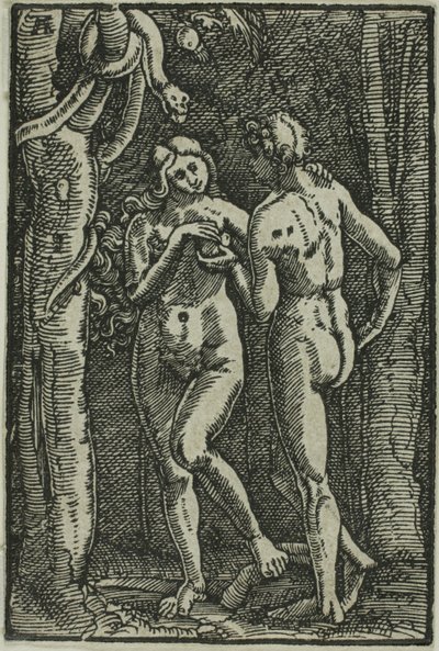 人間の堕落、『人間の堕落と償還』より 作： Albrecht Altdorfer
