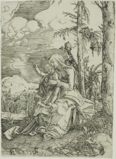 風景の中の聖母子と祝福の子 作： Albrecht Altdorfer