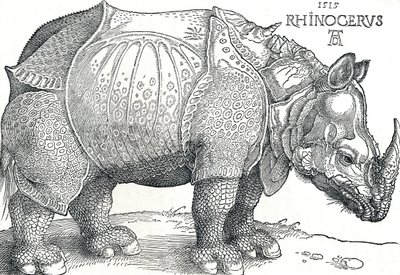 サイ、1515、1906 作： Albrecht Dürer