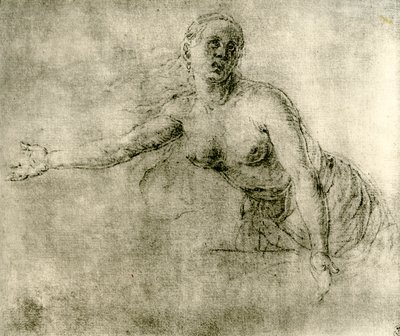 研究、1913 作： Albrecht Dürer