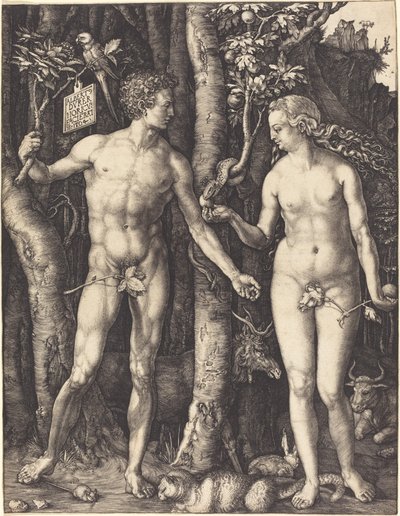 アダムとイブ 作： Albrecht Dürer