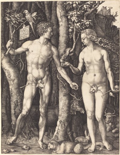 アダムとイブ 作： Albrecht Dürer
