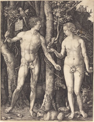 アダムとイブ 作： Albrecht Dürer