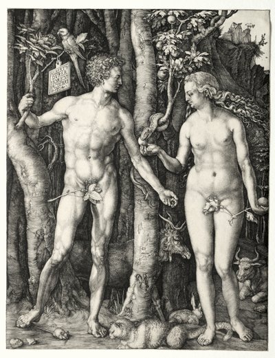 アダムとイブ 作： Albrecht Dürer