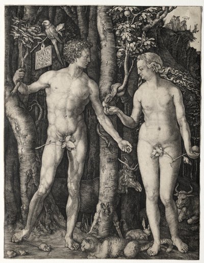 アダムとイブ 作： Albrecht Dürer