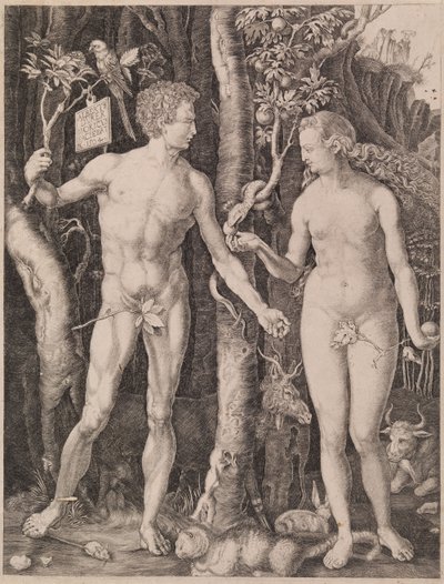  作： Albrecht Dürer