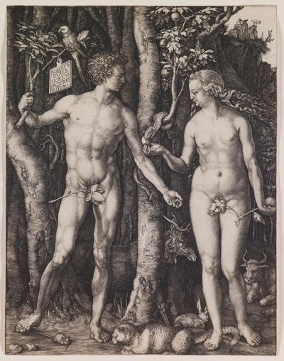  作： Albrecht Dürer