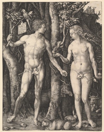  作： Albrecht Dürer