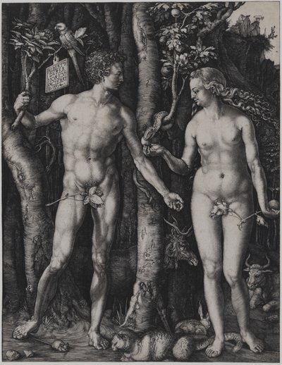  作： Albrecht Dürer