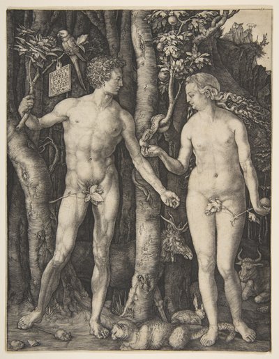  作： Albrecht Dürer
