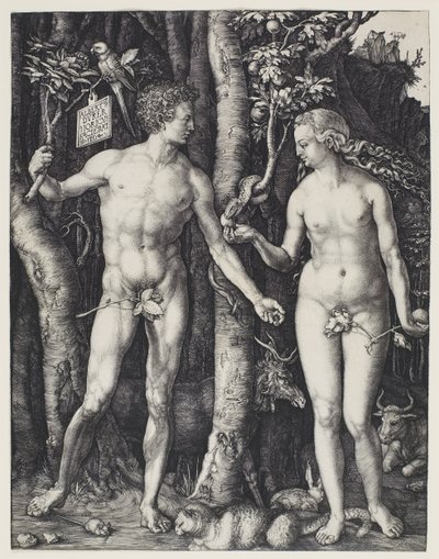アダムとイブ 作： Albrecht Dürer