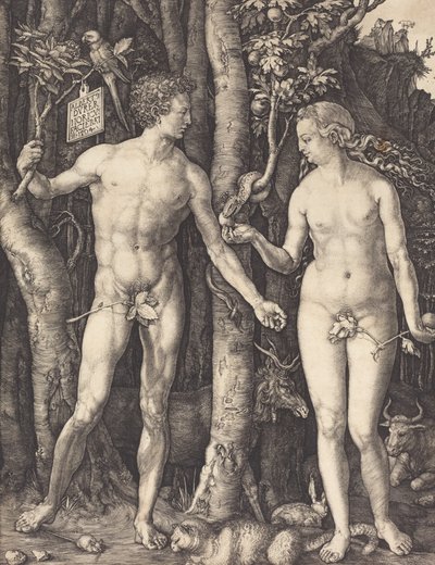 アダムとイブ、1504 年。 作： Albrecht Dürer