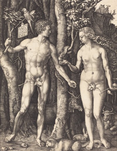 アダムとイブ、1504 年。 作： Albrecht Dürer