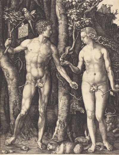 アダムとイブ、1504 年。 作： Albrecht Dürer