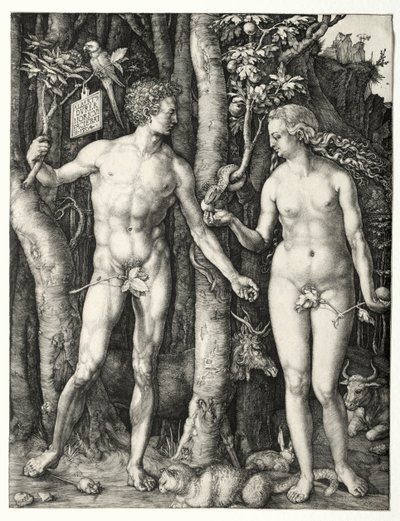 アダムとイブ、1504。 作： Albrecht Dürer