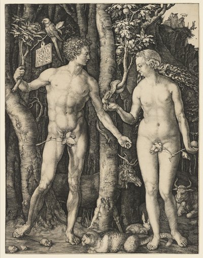 アダムとイブ、1504 作： Albrecht Dürer