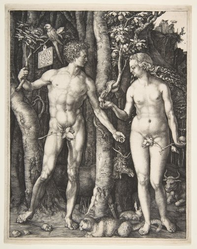 アダムとイブ、1504。 作： Albrecht Dürer