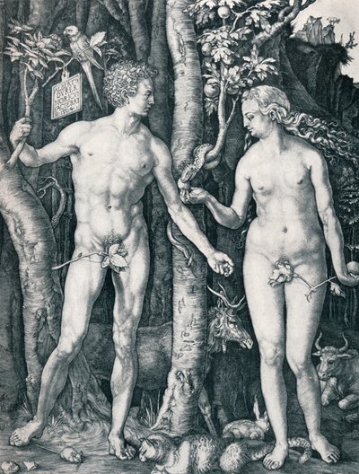 アダムとイブ、1504 1906 作： Albrecht Dürer