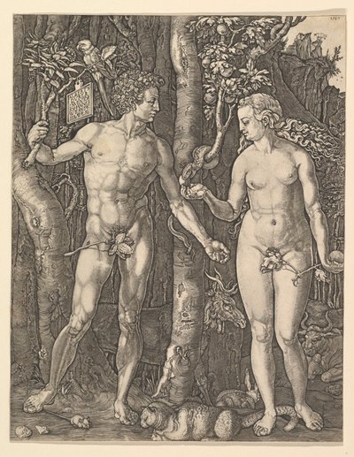 アダムとイブ、1566。 作： Albrecht Dürer