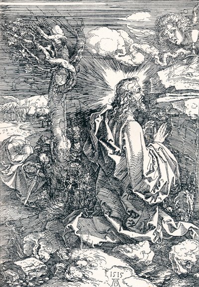 庭の苦悶、1515 1906 作： Albrecht Dürer