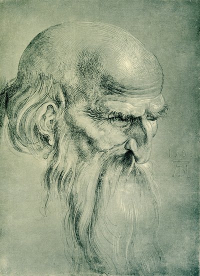使徒の頭 作： Albrecht Dürer