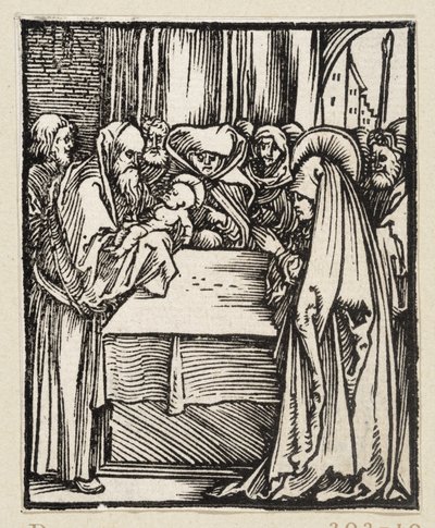  作： Albrecht Dürer